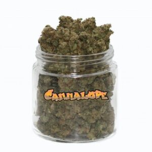 Cannalope Haze weed