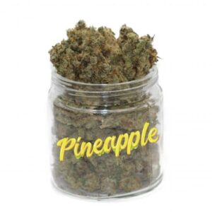 Pineapple Express Weed