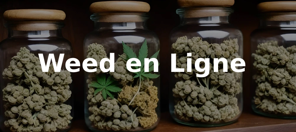 Weed en Ligne